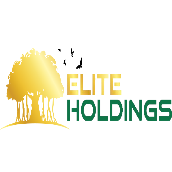 Elite-holdings Logo